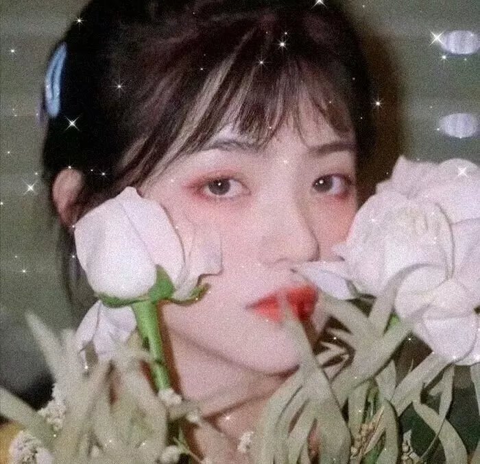 合子异种